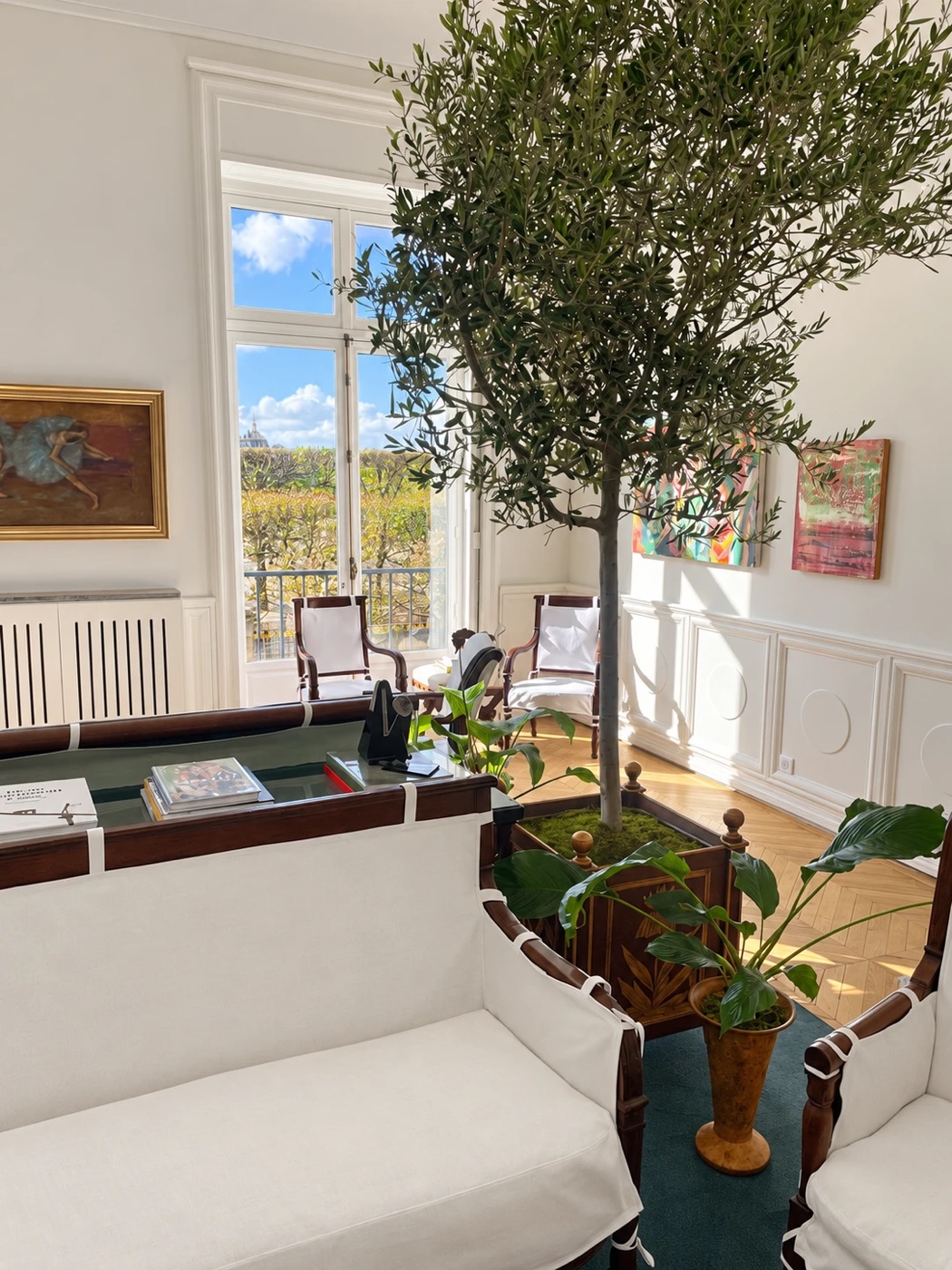 A sunlit lounge with a potted olive tree, white-slipcovered seating, and a tall window overlooking a park
